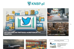 SEO campaign for KNBP.pl